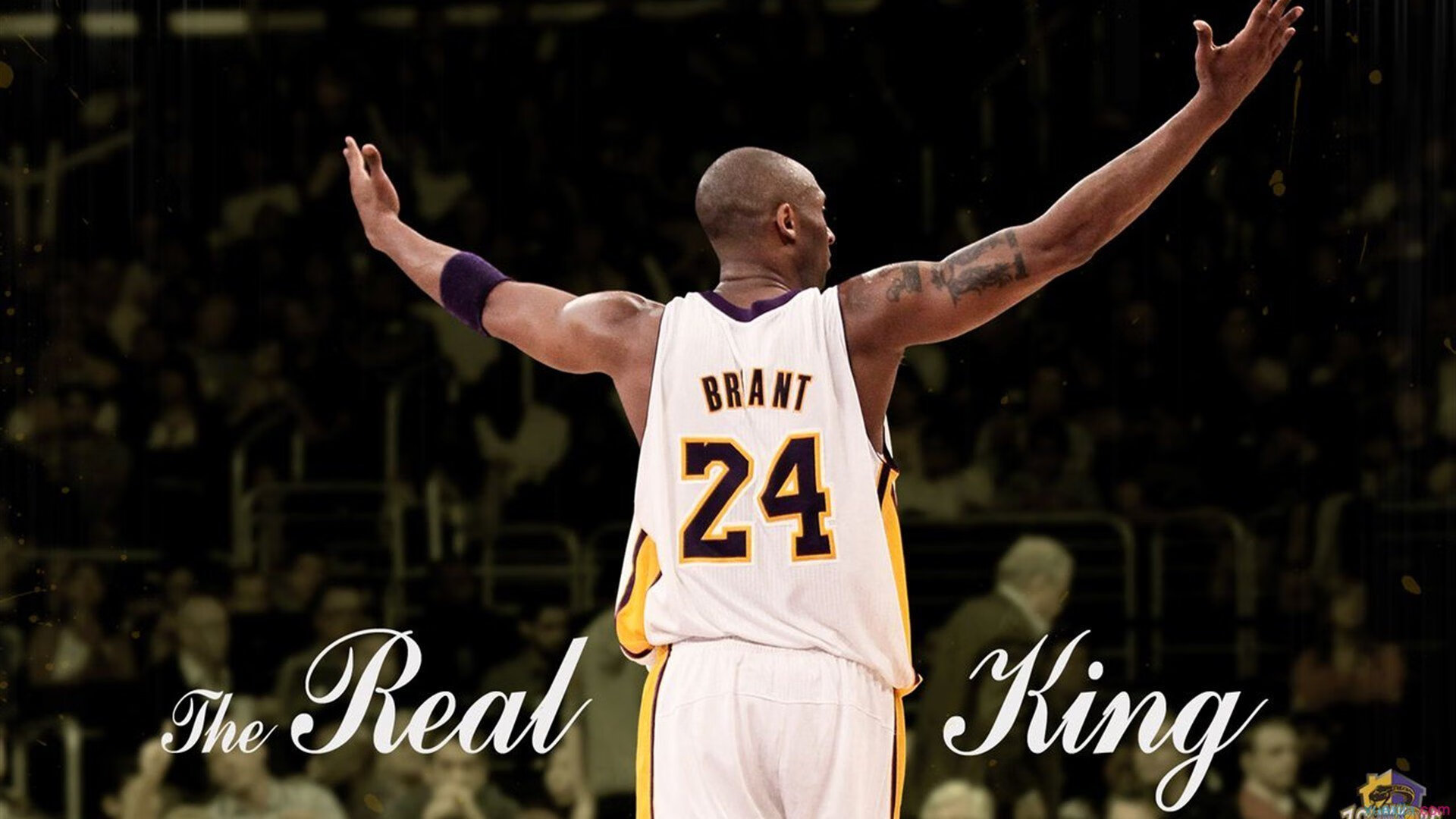 库里硬仗之王，北京队全面压制新疆队，双线战场上的统治力诠释