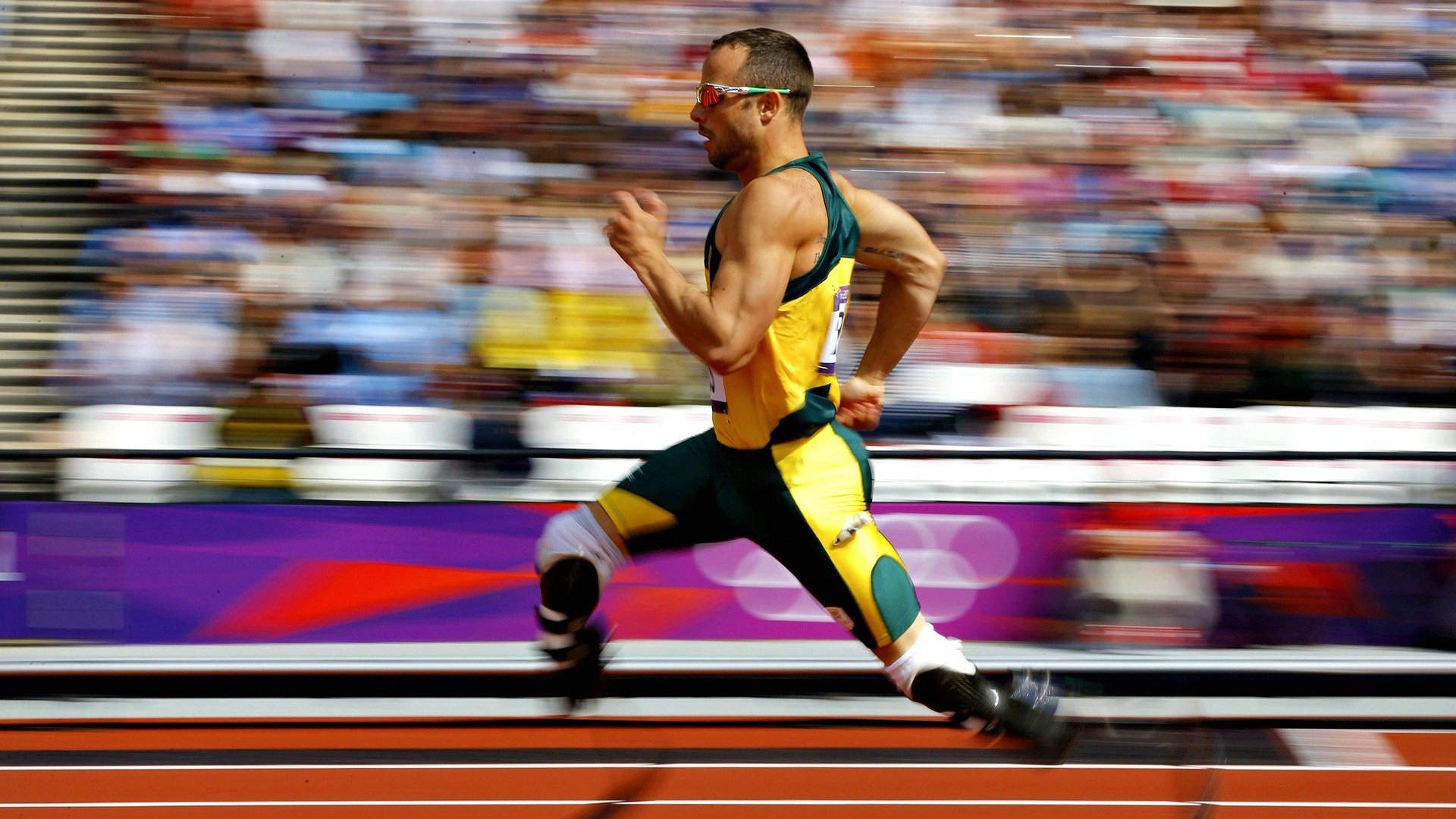 开云体育中国-温网绝杀与年终加冕，德约科维奇的火热状态与不朽传奇